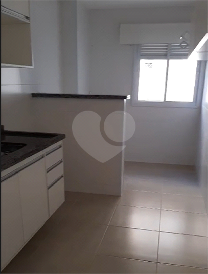 Aluguel Apartamento Sorocaba Jardim Leocádia REO1047179 2