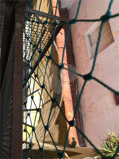 Foto REO1047185