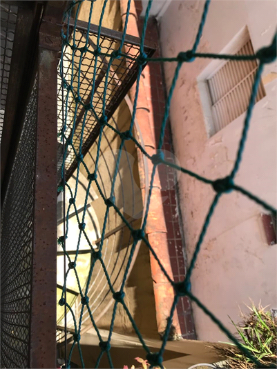 Foto REO1047185