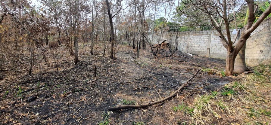 Venda Chácara Campo Limpo Paulista Chácara Nova Essen REO1047221 3