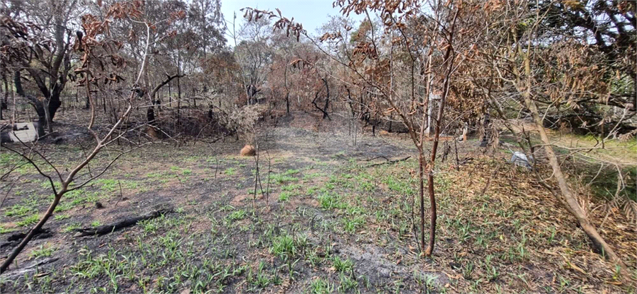 Venda Chácara Campo Limpo Paulista Chácara Nova Essen REO1047221 4