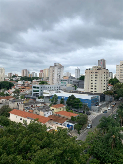 Aluguel Apartamento São Paulo Vila Paulista REO1047278 14