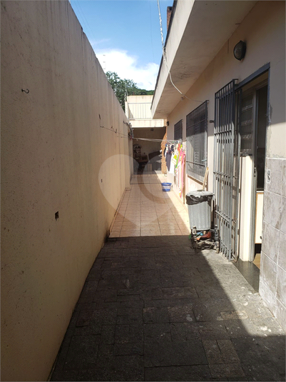 Foto REO1047297