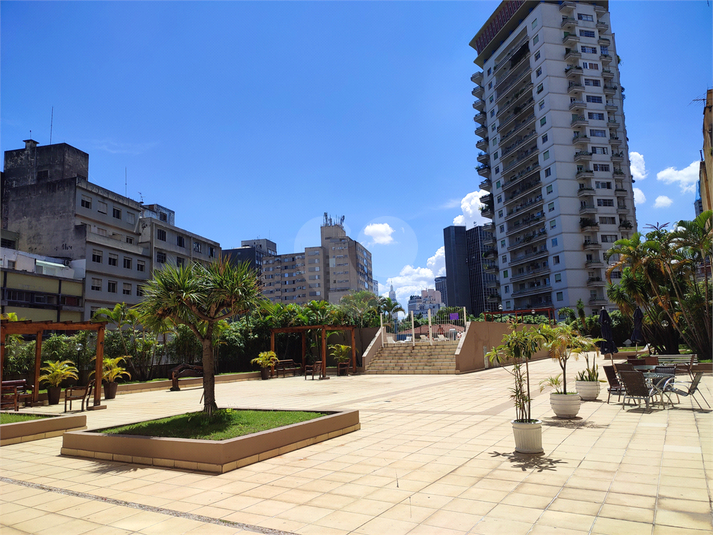 Foto REO1047329