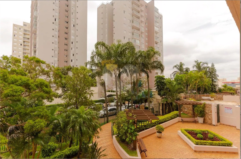 Venda Apartamento Campinas Jardim Aurélia REO1047335 5