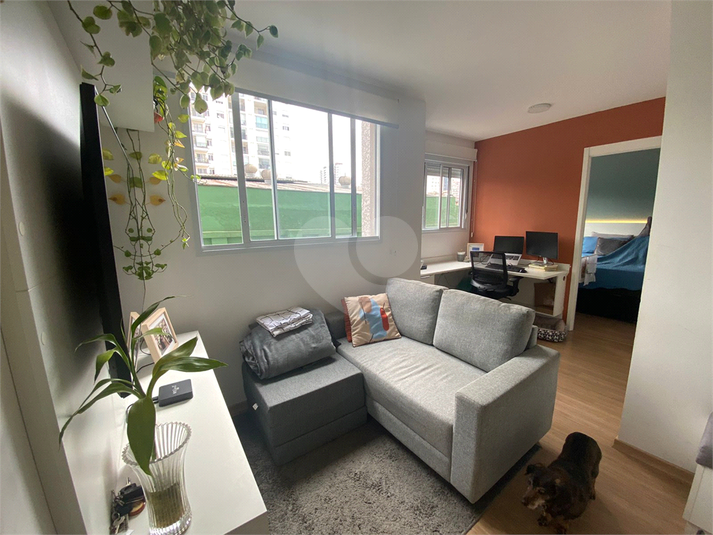 Venda Apartamento São Paulo Brás REO1047337 11