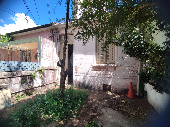 Foto REO1047416