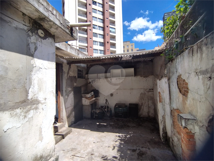 Foto REO1047416