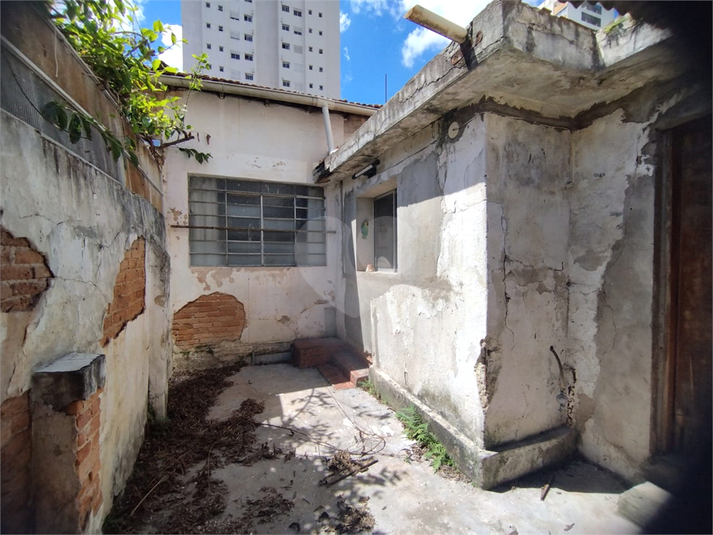 Foto REO1047416