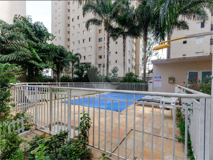 Venda Apartamento São Paulo Jardim Íris REO1047456 26