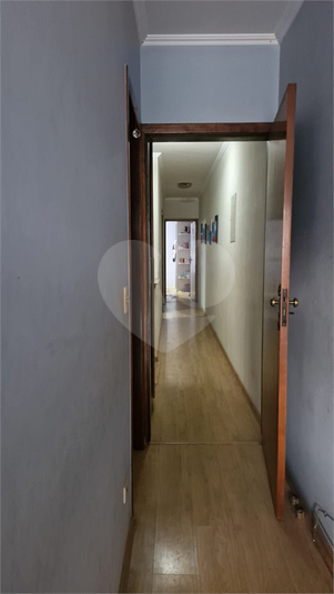 Foto REO1047508
