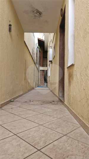 Foto REO1047508