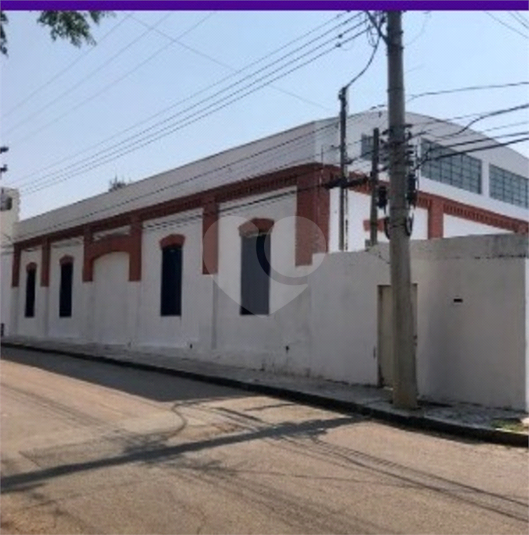 Foto REO1047631