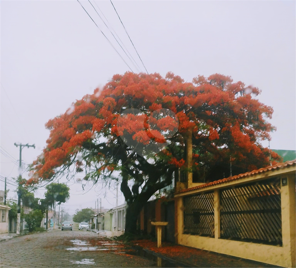 Aluguel Casa Peruíbe Cidade Balneária Peruíbe/scipel REO1047755 18