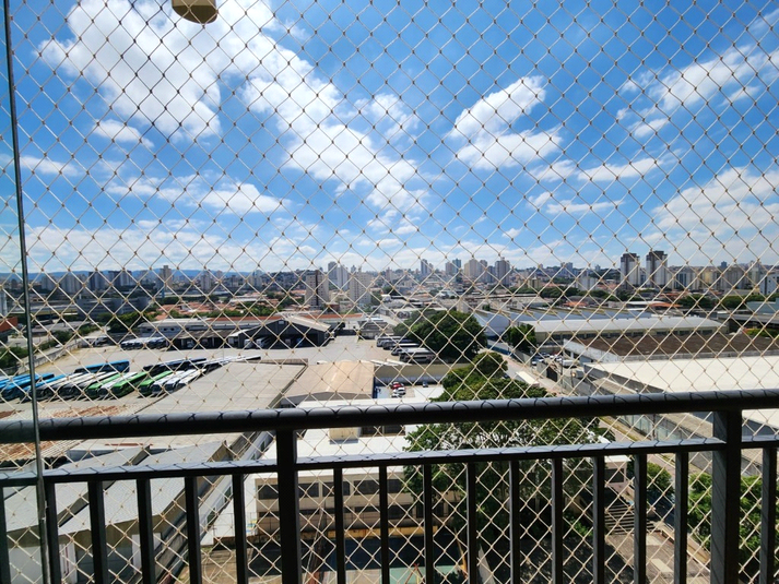 Foto REO1047852