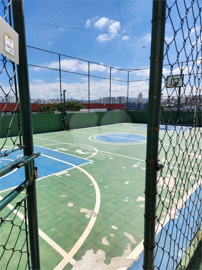 Foto REO1047852