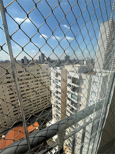 Foto REO1047857