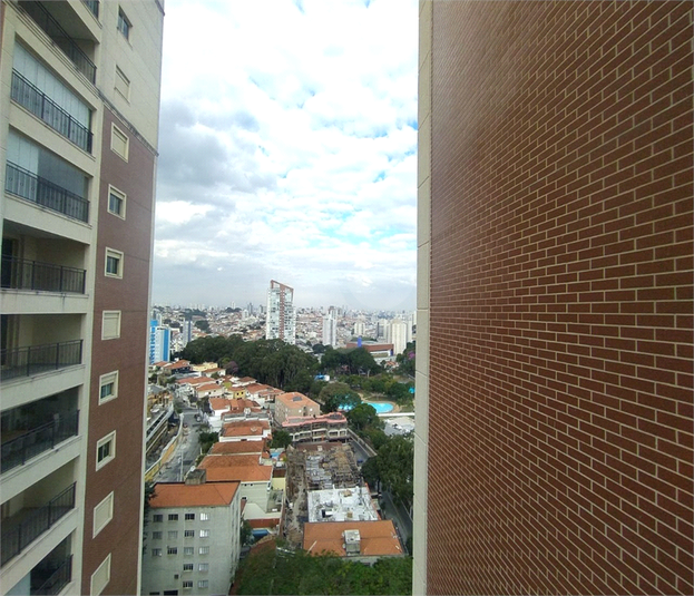 Foto REO1047875
