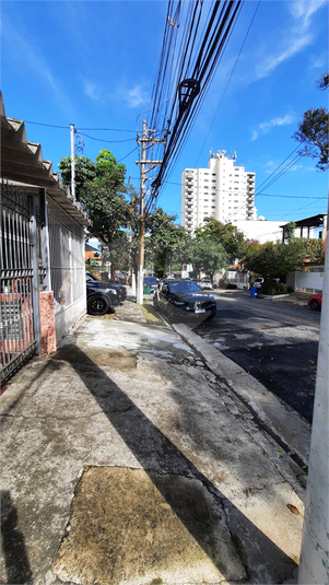 Foto REO1047904