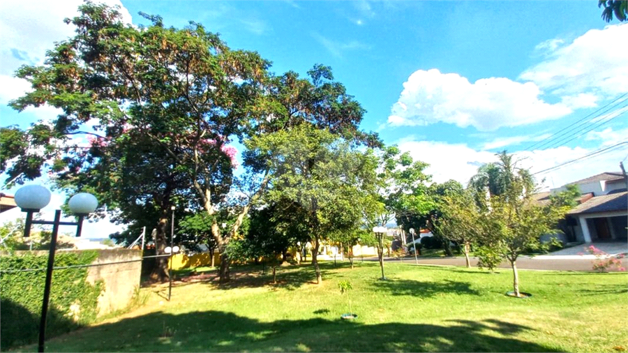 Foto REO1047908