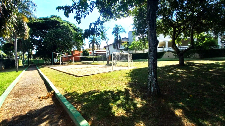 Foto REO1047908