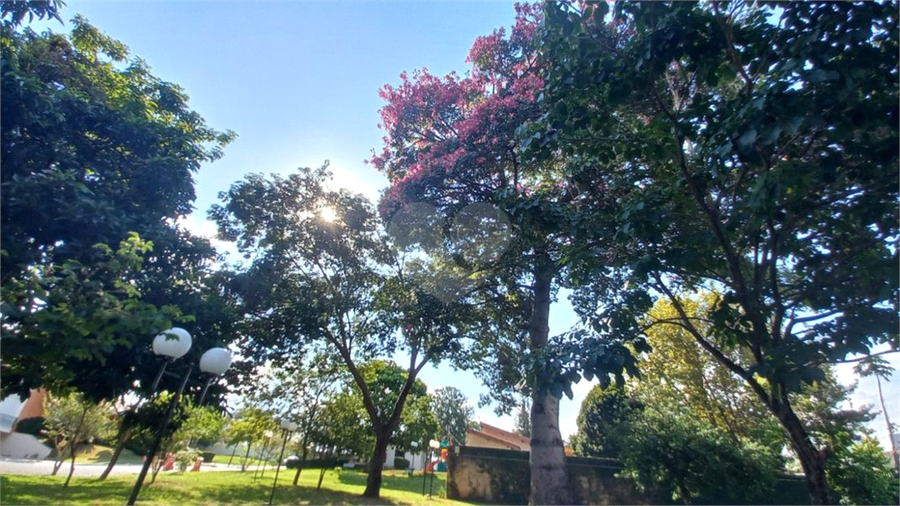 Foto REO1047908