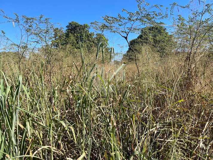 Venda Terreno Cuiabá Praeirinho REO1047962 1