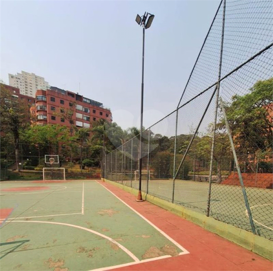 Foto REO1047980