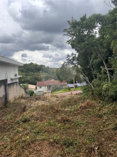 Venda Terreno Curitiba Butiatuvinha REO1048055 9