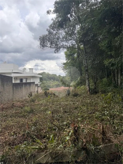 Venda Terreno Curitiba Butiatuvinha REO1048055 10