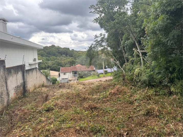 Venda Terreno Curitiba Butiatuvinha REO1048055 13