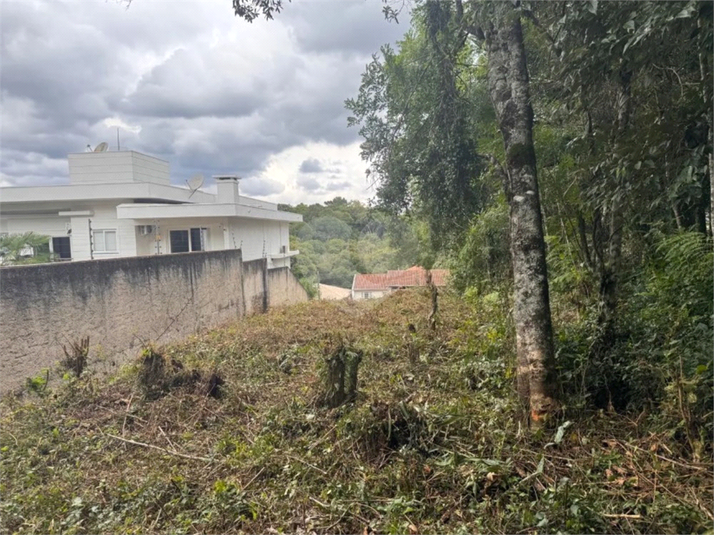 Venda Terreno Curitiba Butiatuvinha REO1048055 8