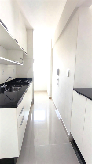 Aluguel Apartamento São Paulo Jardim Avelino REO1048069 35