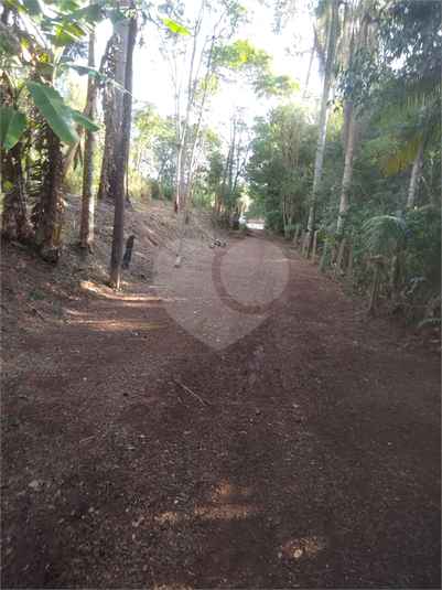 Foto REO1048087