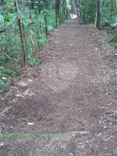 Foto REO1048087