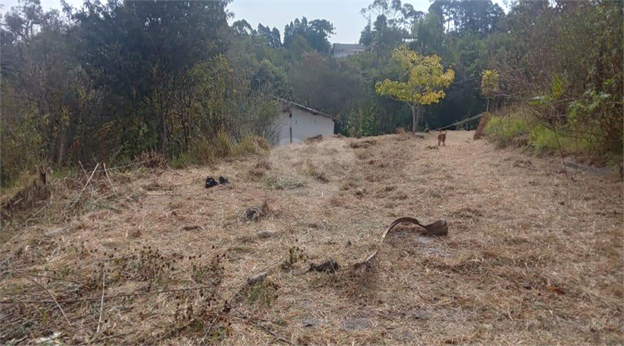 Venda Área de Terra São Roque Jardim Cardoso (mailasqui) REO1048087 8