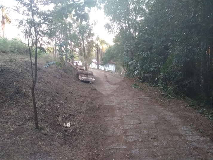 Foto REO1048087