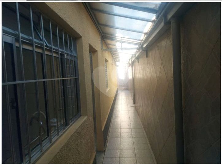 Foto REO1048118