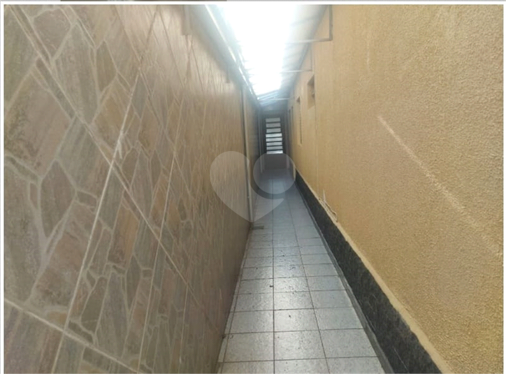Foto REO1048118
