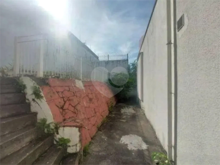 Foto REO1048136