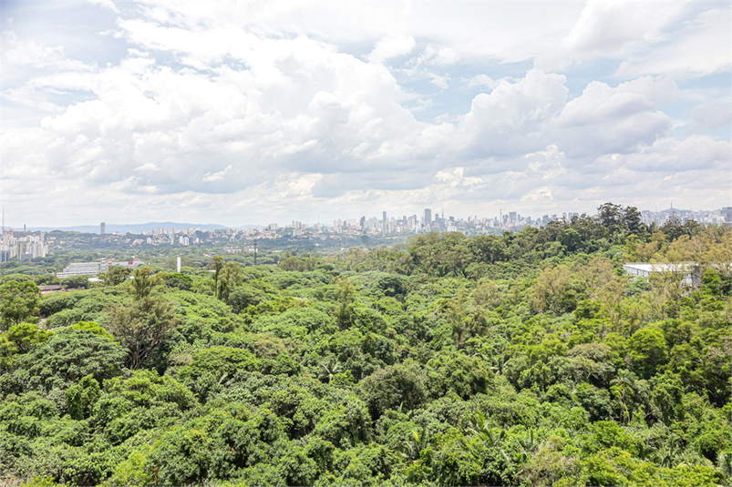 Venda Apartamento São Paulo Vila Indiana REO1048142 3