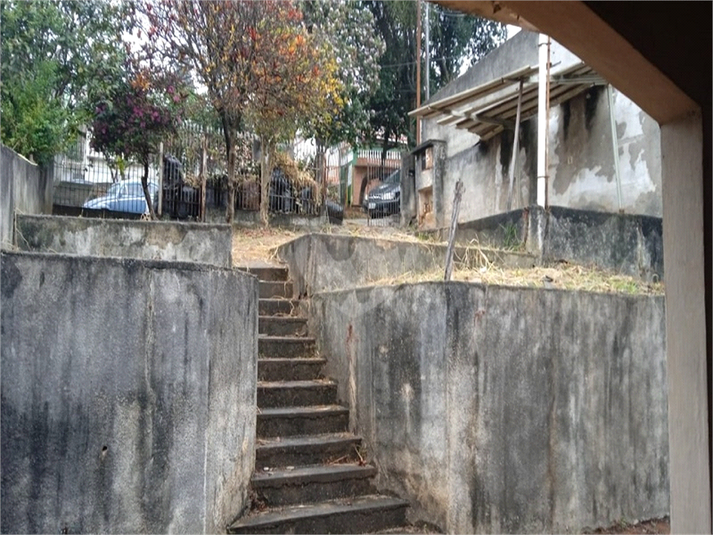 Foto REO1048225