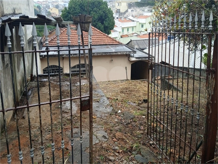 Foto REO1048225