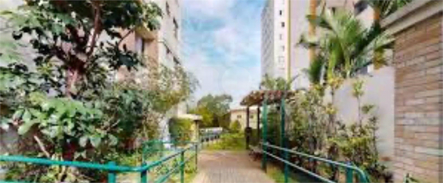 Aluguel Apartamento São Paulo Jardim Ubirajara (zona Sul) REO1048304 14