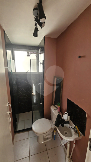 Aluguel Apartamento São Paulo Jardim Recanto Verde REO1048330 12