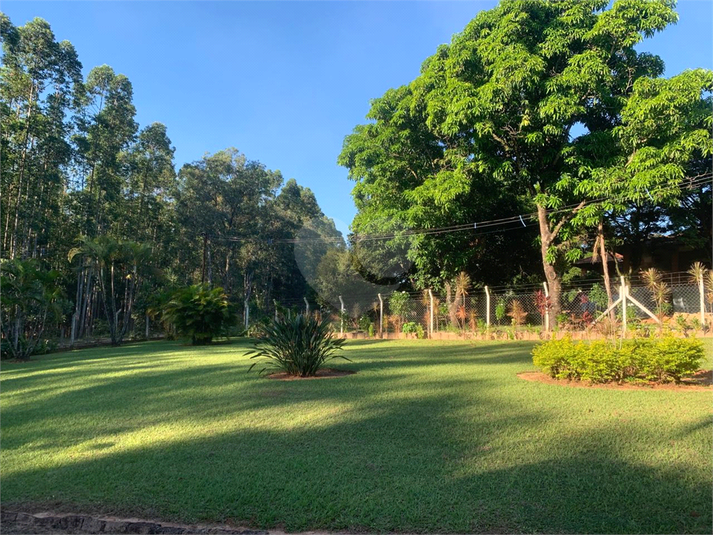Foto REO1048347