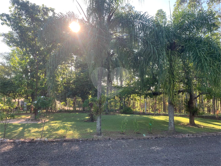 Foto REO1048347