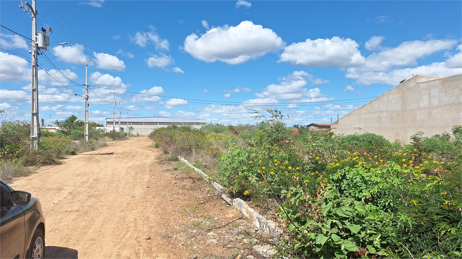 Venda Terreno Petrolina Boa Esperança REO1048362 2