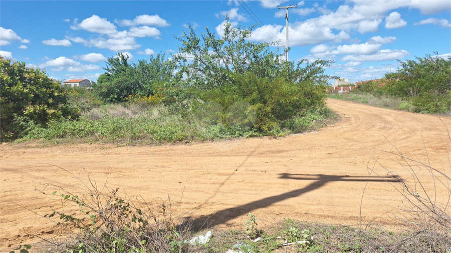 Venda Terreno Petrolina Boa Esperança REO1048362 10