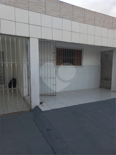 Foto REO1048399